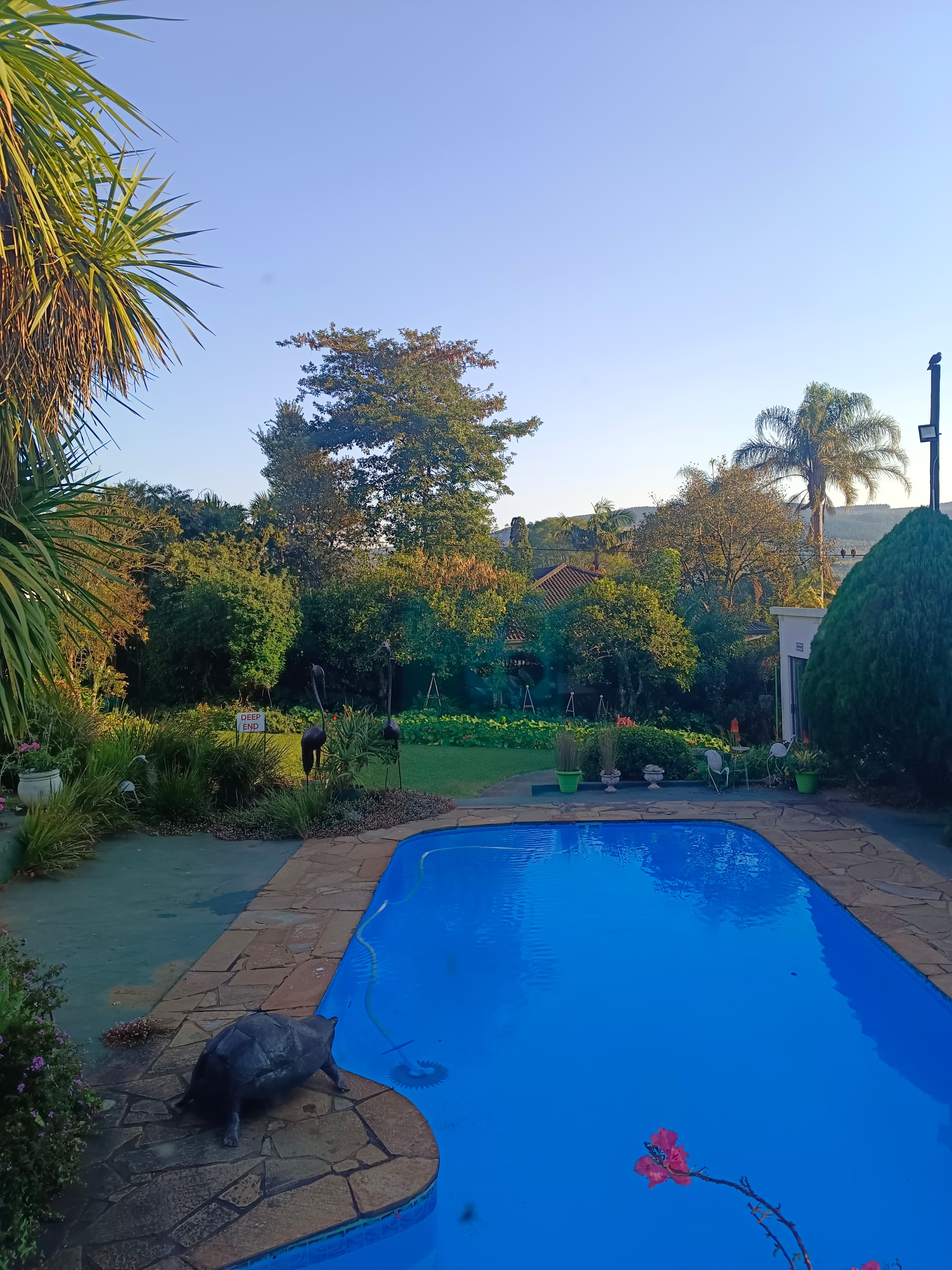 Garden at The Rawstornes