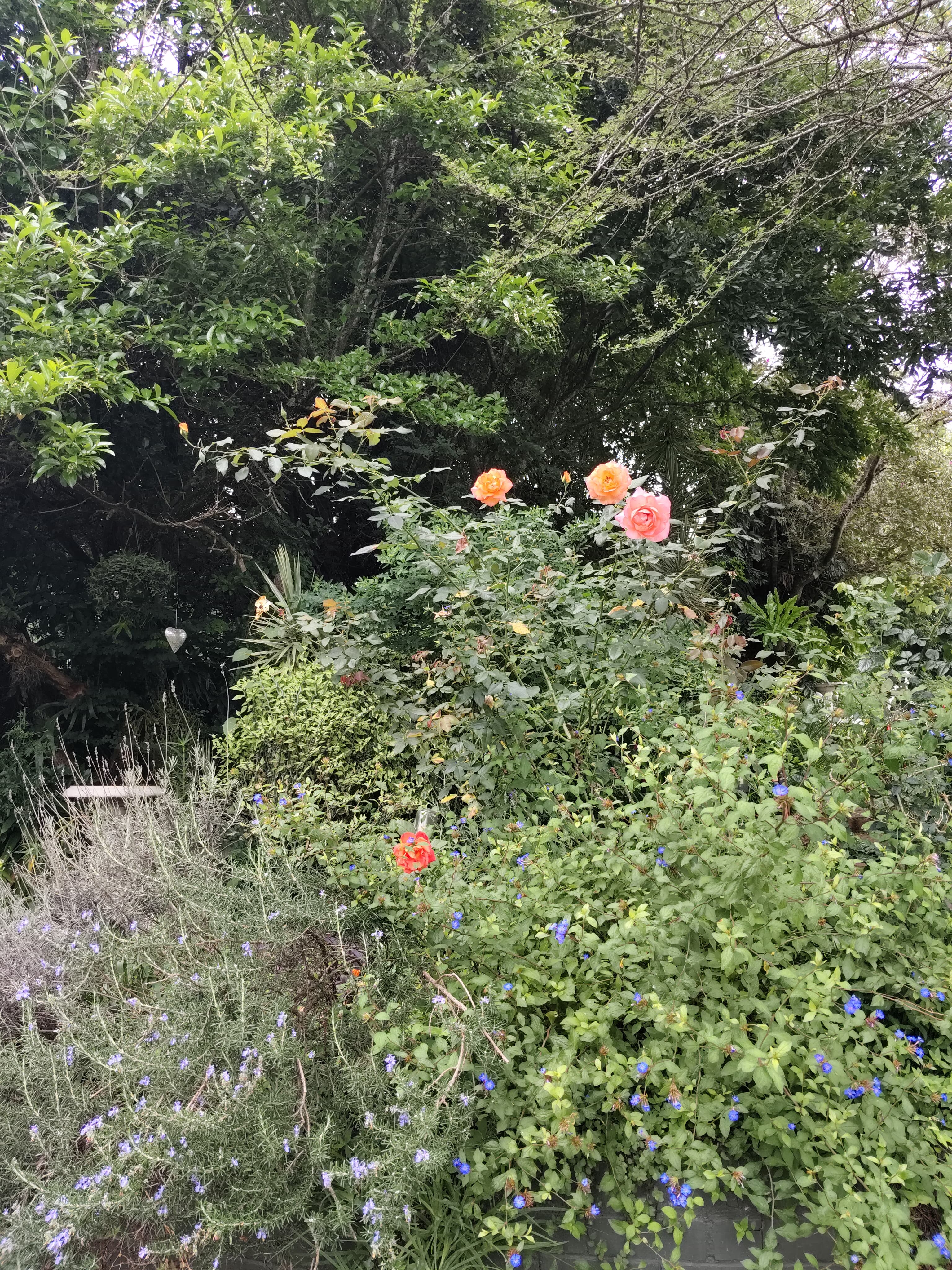 Garden setting for events