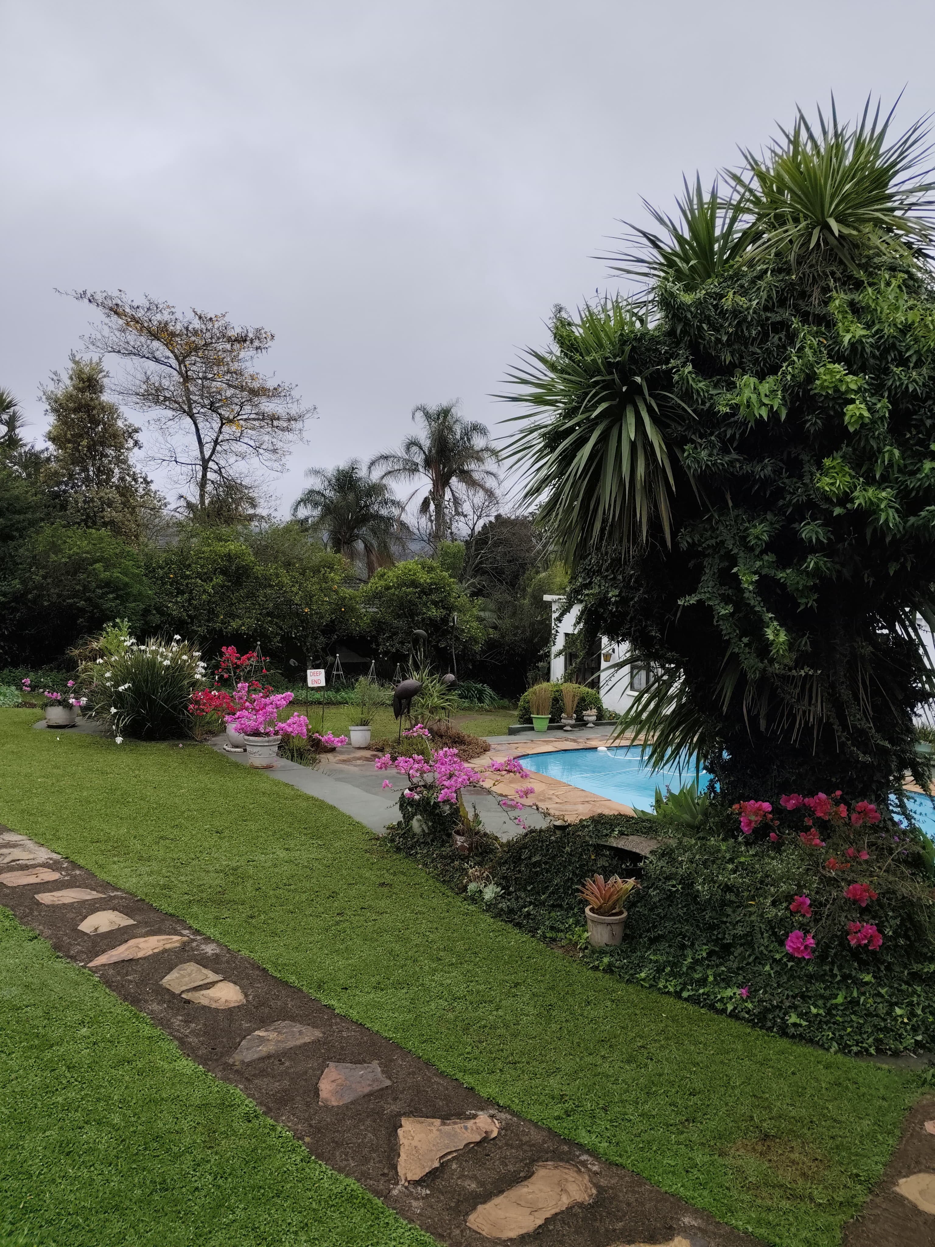 The Serengeti room